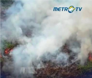 Globalisasi dan Rapuhnya Tata Kelola Publik di Lingkungan Daerah: StudiKasus Kebakaran Hutan dan Lahan (Karhutla)