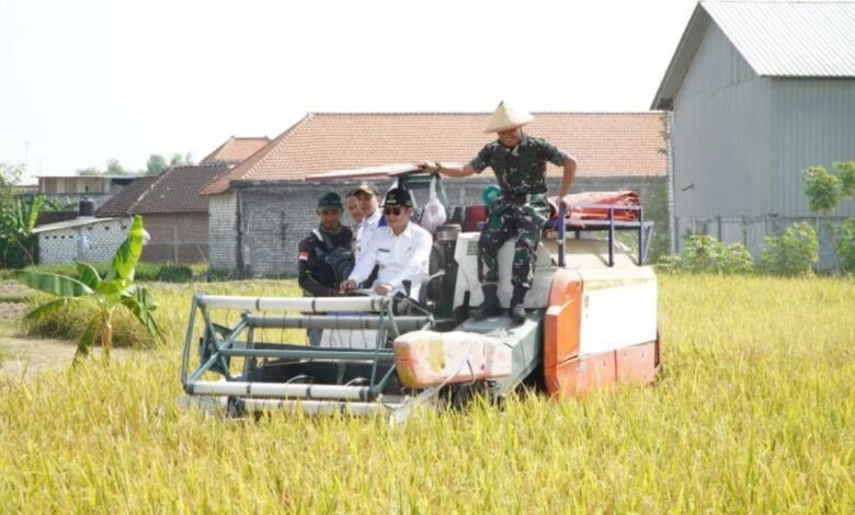 SIMAS AGRO Dorong Transformasi Budidaya Padi Sehat dan Tingkatkan Daya Saing Beras Lamongan