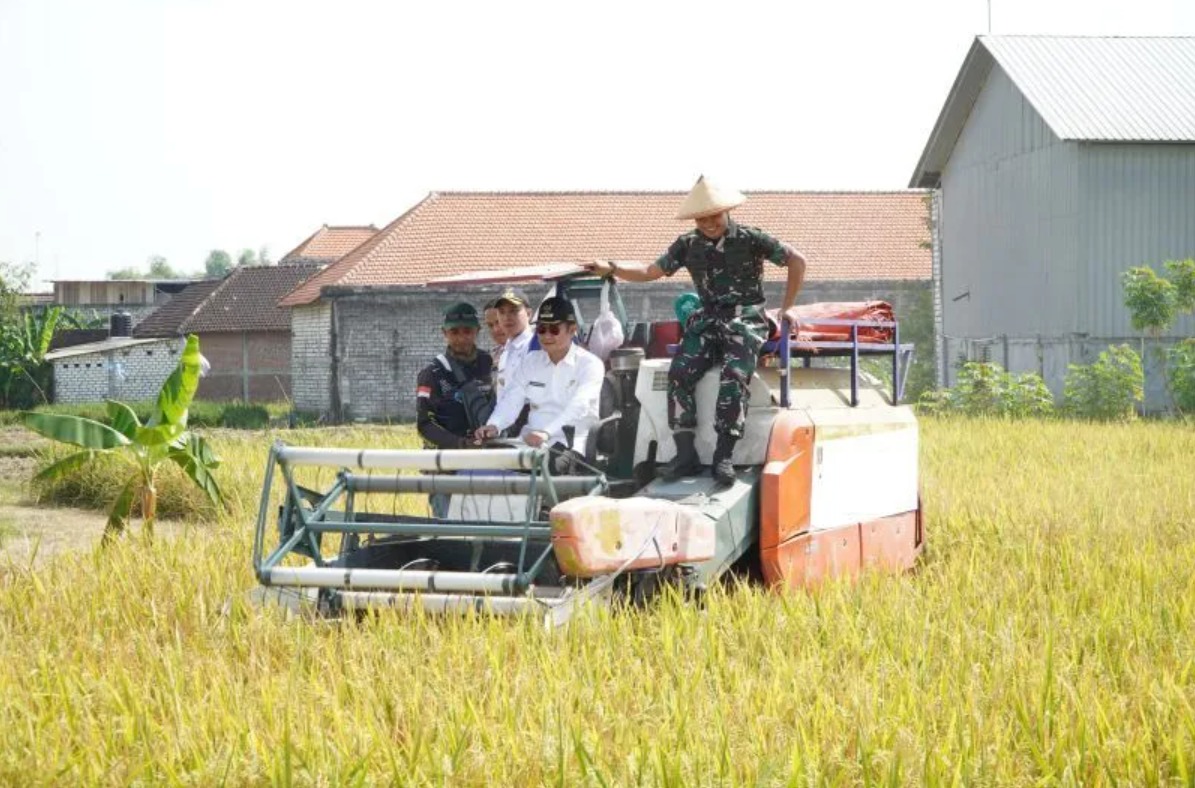 SIMAS AGRO Dorong Transformasi Budidaya Padi Sehat dan Tingkatkan Daya Saing Beras Lamongan